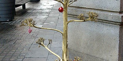 A dry agave flower stalk sprayed gold and used as a Christmas tree