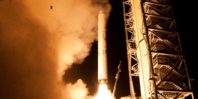 Frog caught in a NASA launch