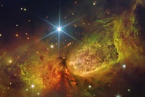 Stars being born inside the Sharpless 2-106 Nebula (S106)