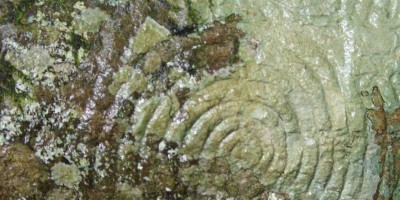 A wet, spiral rock carving at La Zarzita, Garafia, La Palma island