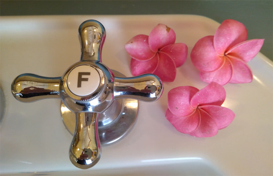 Flowers beside a bath tap at Hacienda de Abajo, Tazacorte, La Palma island